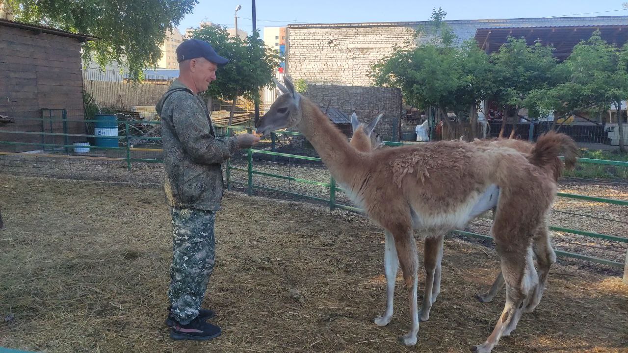 Новосибирский Зоопарк 